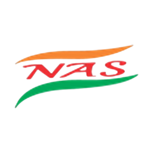 NAS Internet Logo